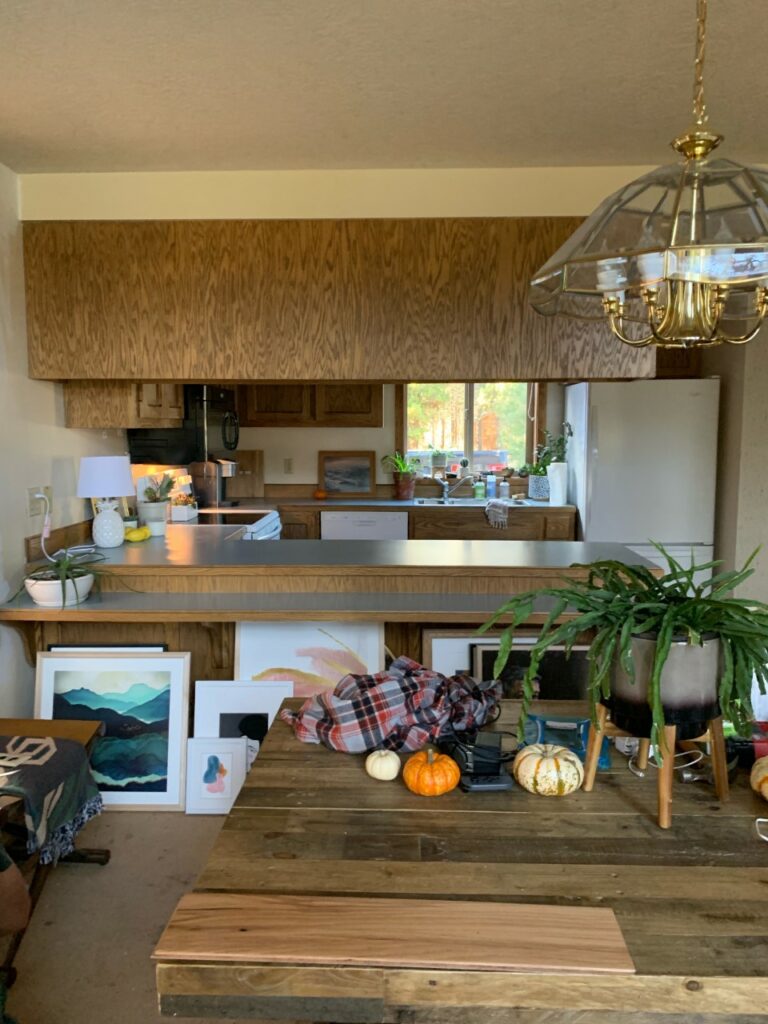 One Room Challenge: Week 6 - Cactilicious Kitchen REVEAL — LAJphotos